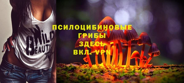 стафф Медногорск