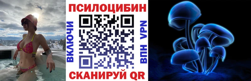 где можно купить наркотик  Приморско-Ахтарск  Псилоцибиновые грибы MAGIC MUSHROOMS 