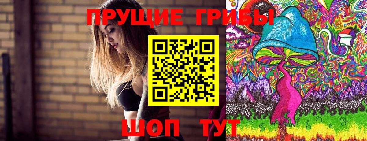Приморско-Ахтарск  Псилоцибиновые грибы GOLDEN TEACHER  магазин    Вход с VPN  Псилоцибиновые грибы ЛСД 